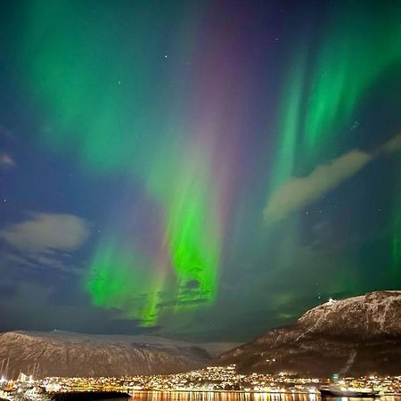 Leilighet Ved Havet Med Utsikt Over Tromsoysundet. Dış mekan fotoğraf