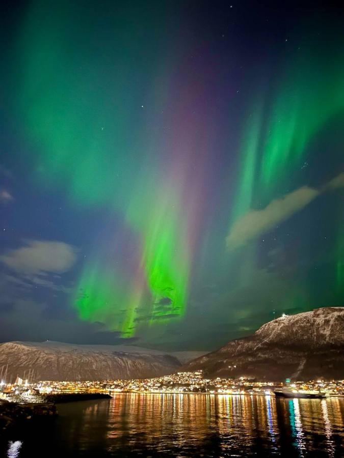 Leilighet Ved Havet Med Utsikt Over Tromsoysundet. Dış mekan fotoğraf